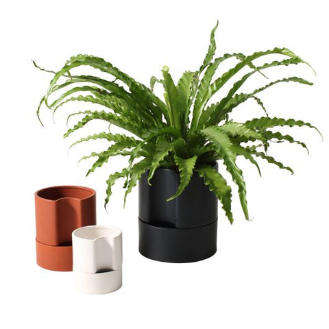 Jett self watering pot